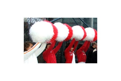 Pompony profesjonalne