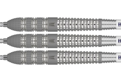 Rzutki Target Raymond van Barneveld Barney 95% (steel tip) 25g
