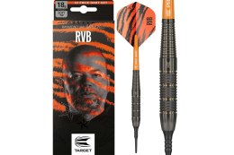 Rzutki Target Raymond van Barneveld Brass (soft tip) 18g