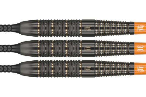 Rzutki Target Raymond van Barneveld Brass (soft tip) 18g