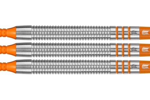 Rzutki Target Raymond van Barneveld RVB 80% (soft tip) 18g